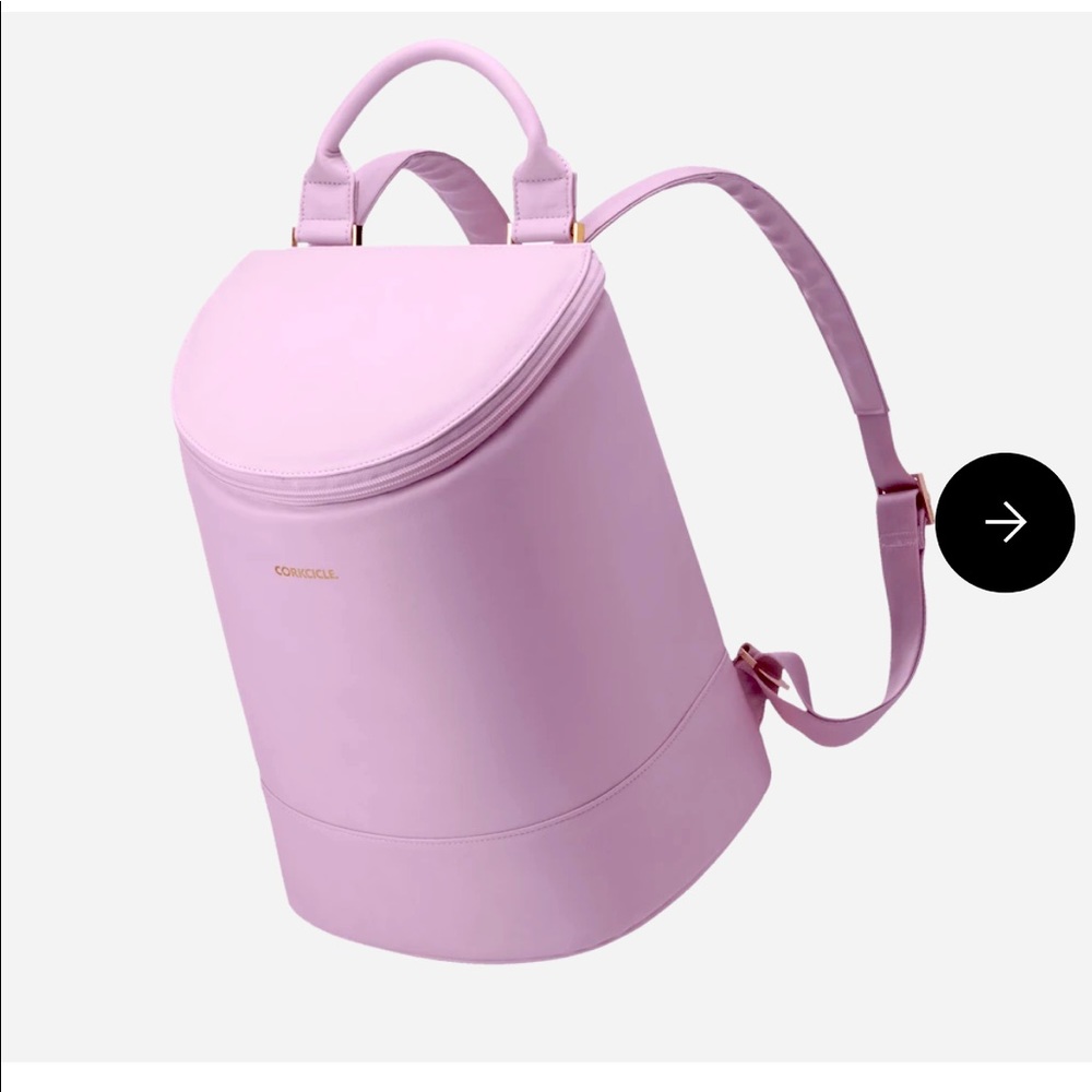 Corkcicle cooler back pack